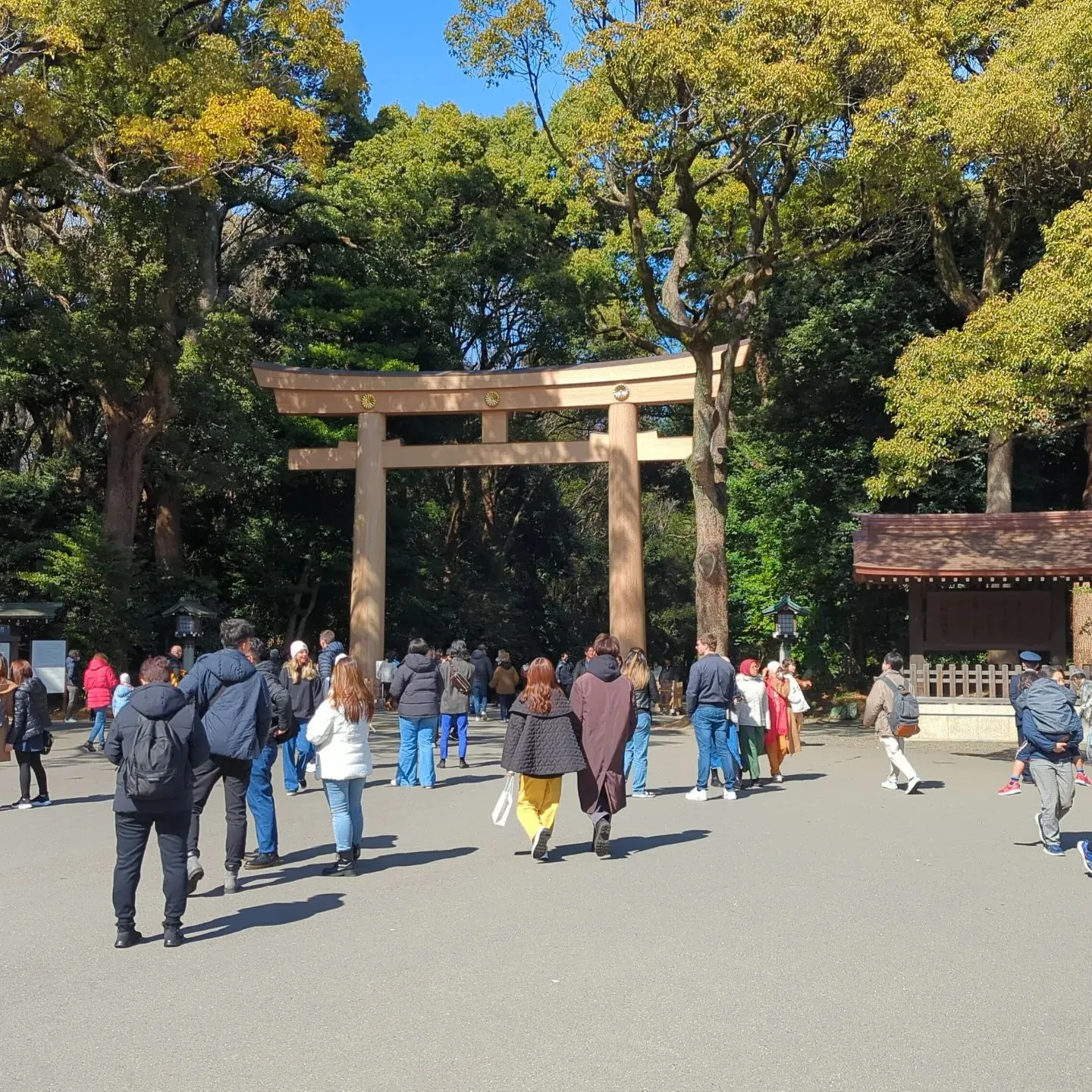 今日は白柄の大サイズの生産。