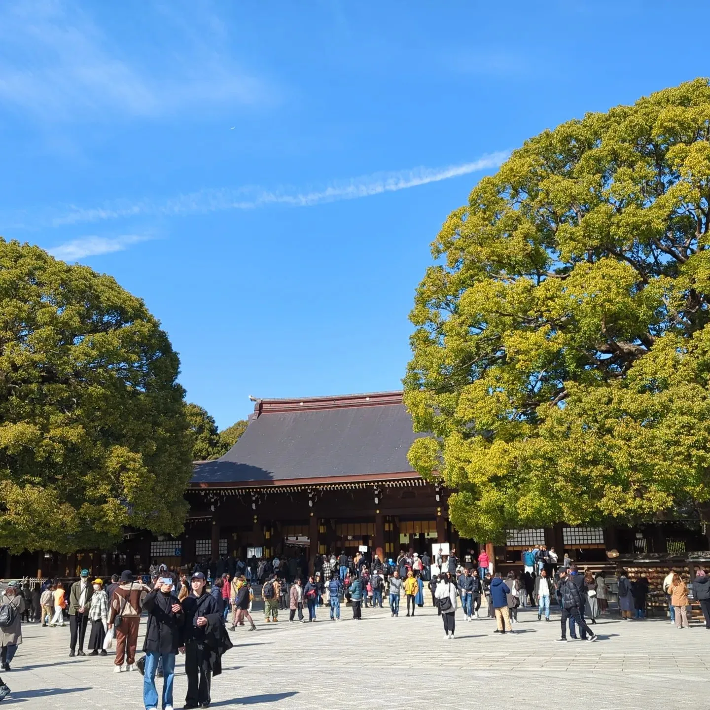 今日は白柄の大サイズの生産。