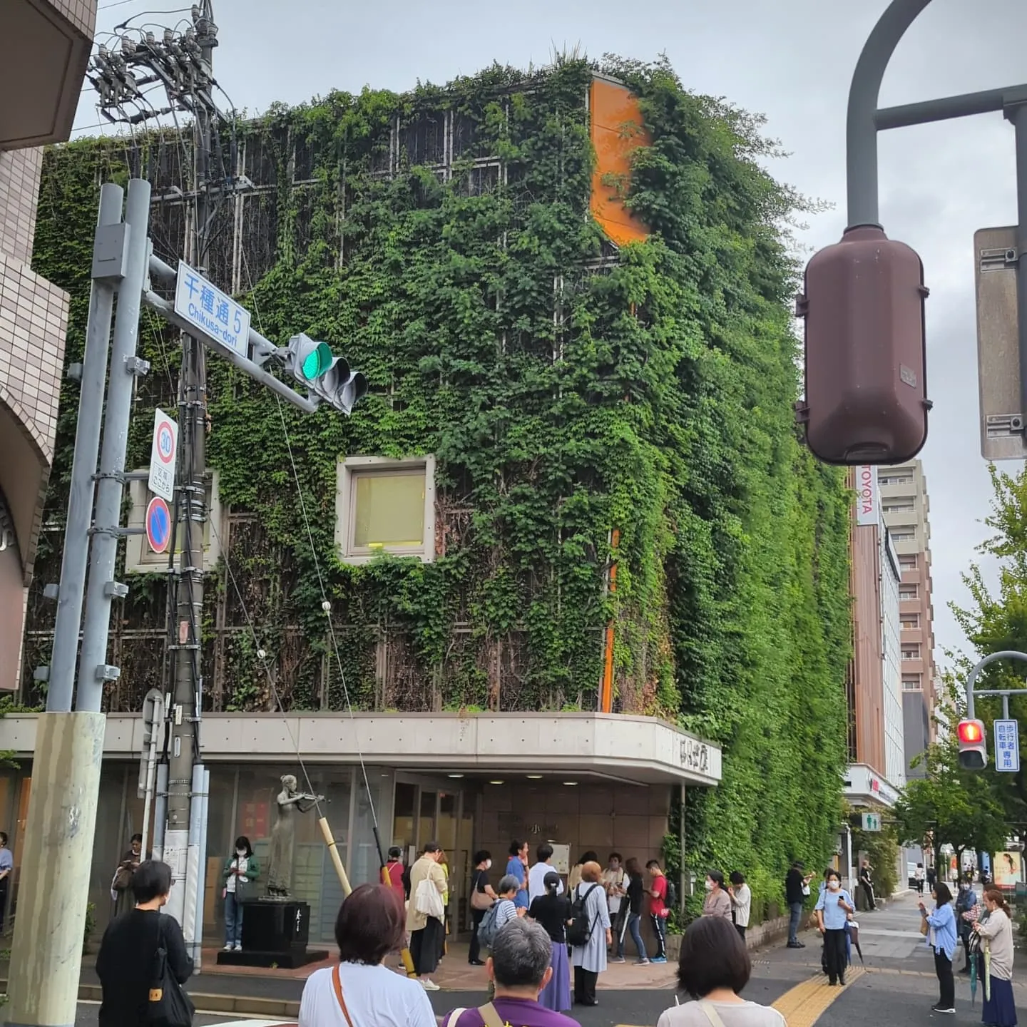 今日は雨の一日。