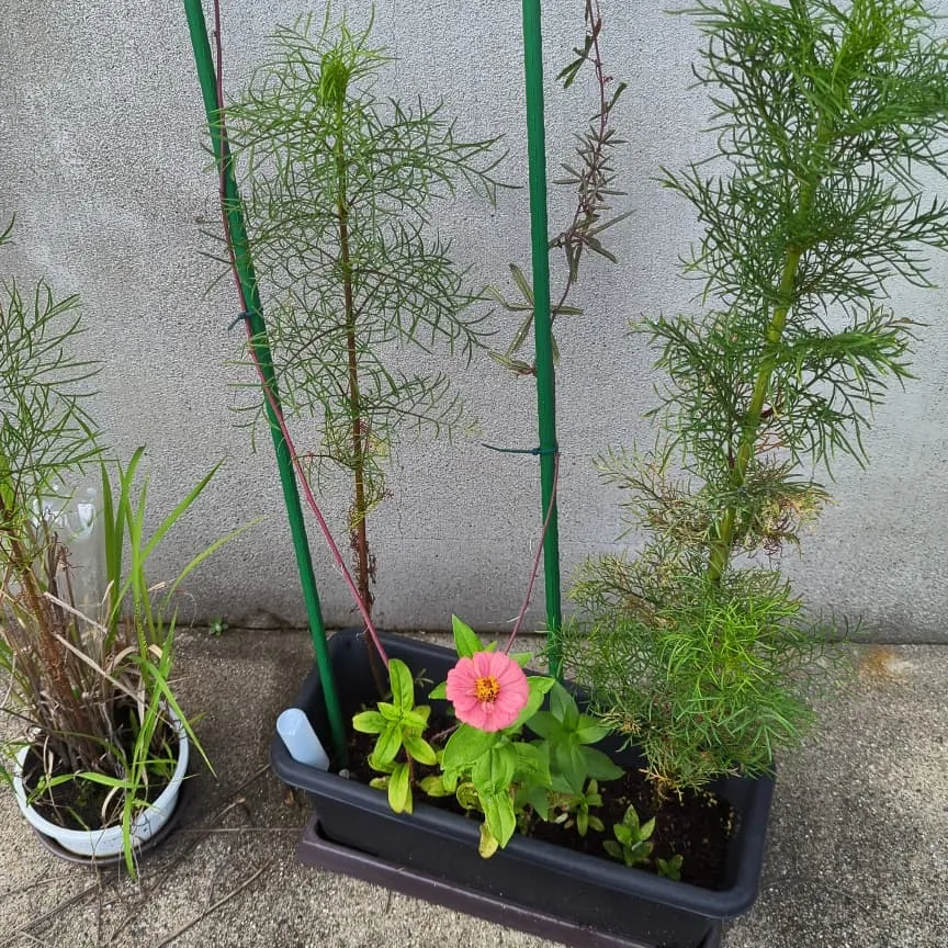 連休のゲリラ豪雨。