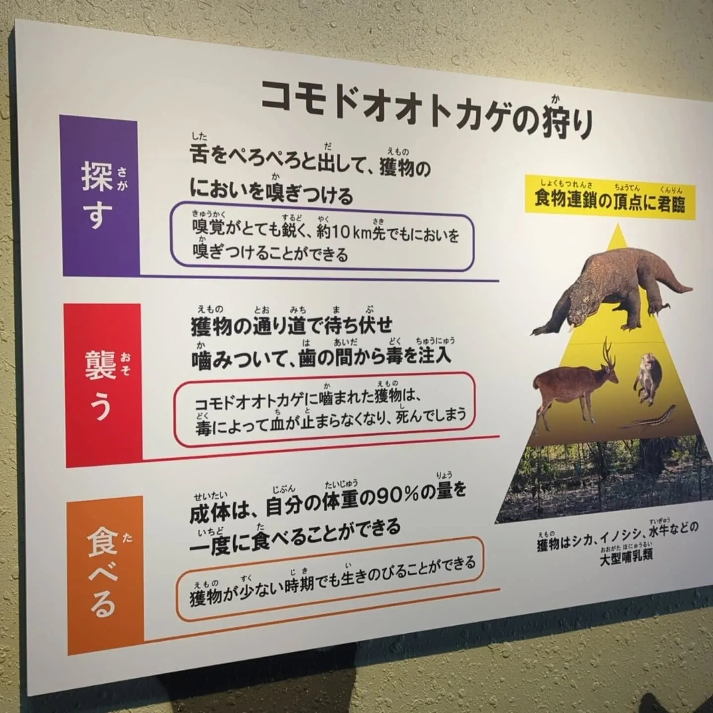 週末、名古屋市の東山動植物園に大人の遠足に行って来ました。