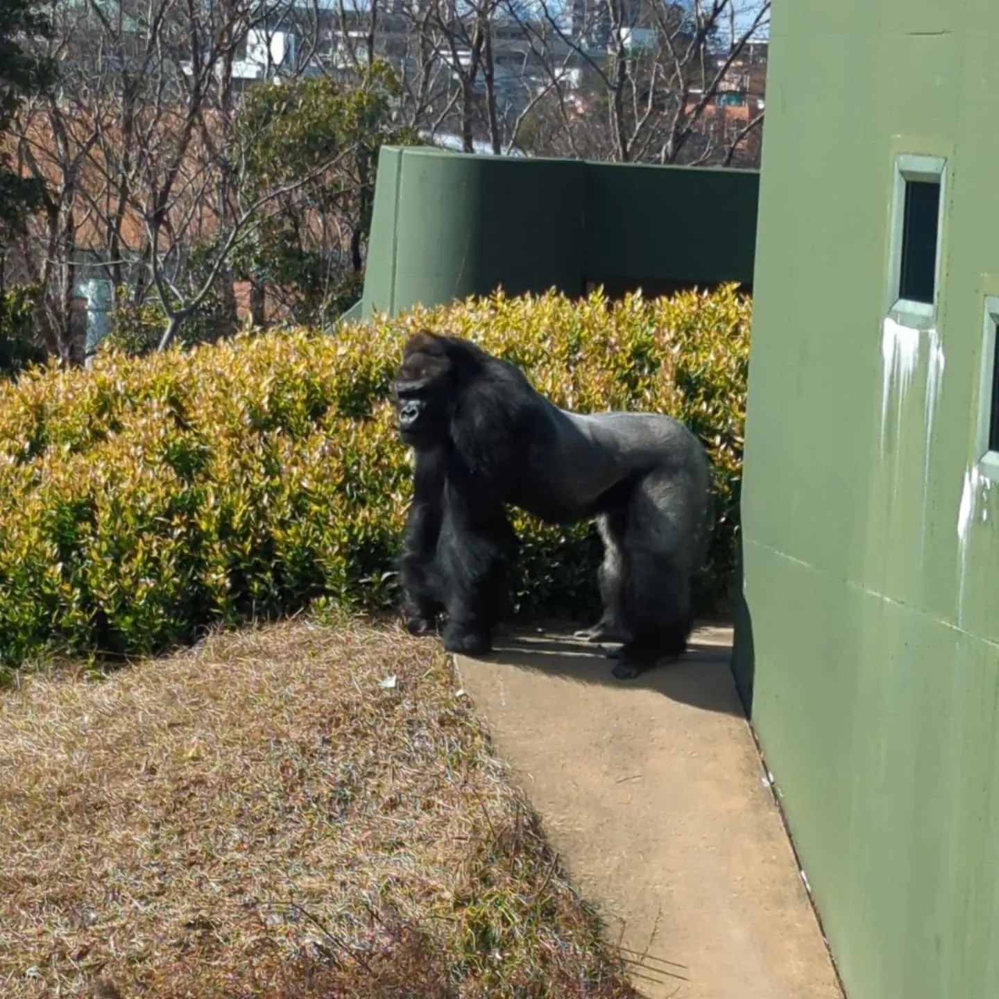 週末、名古屋市の東山動植物園に大人の遠足に行って来ました。