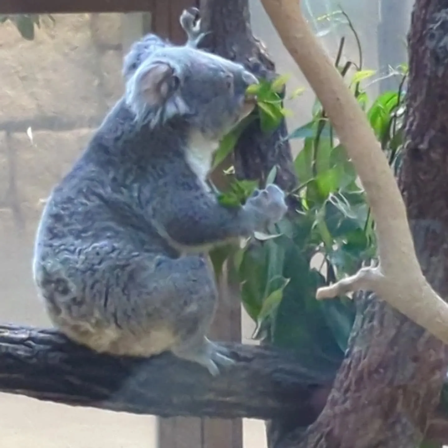 週末、名古屋市の東山動植物園に大人の遠足に行って来ました。