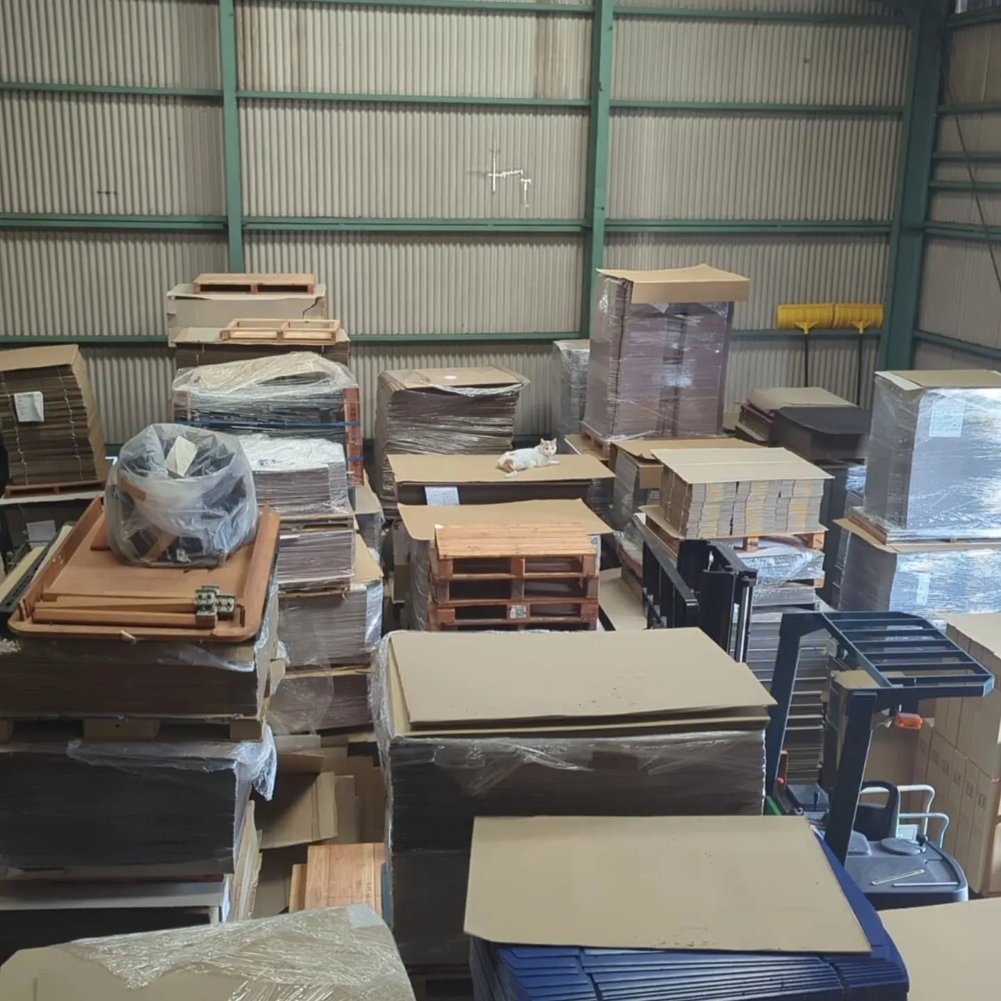 暖かい日が続き、猫さんが事務所を出て工場で落ち着く季節。