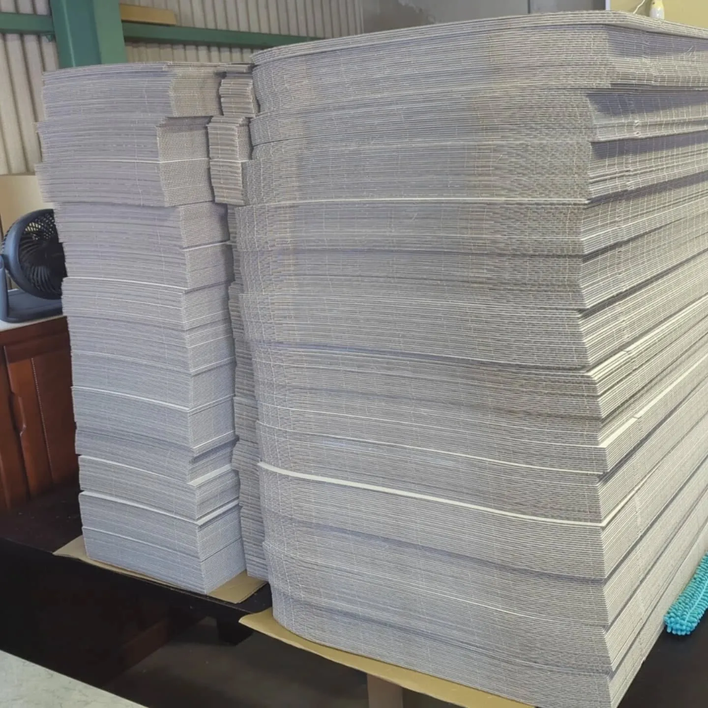 暖かい日が続き、猫さんが事務所を出て工場で落ち着く季節。