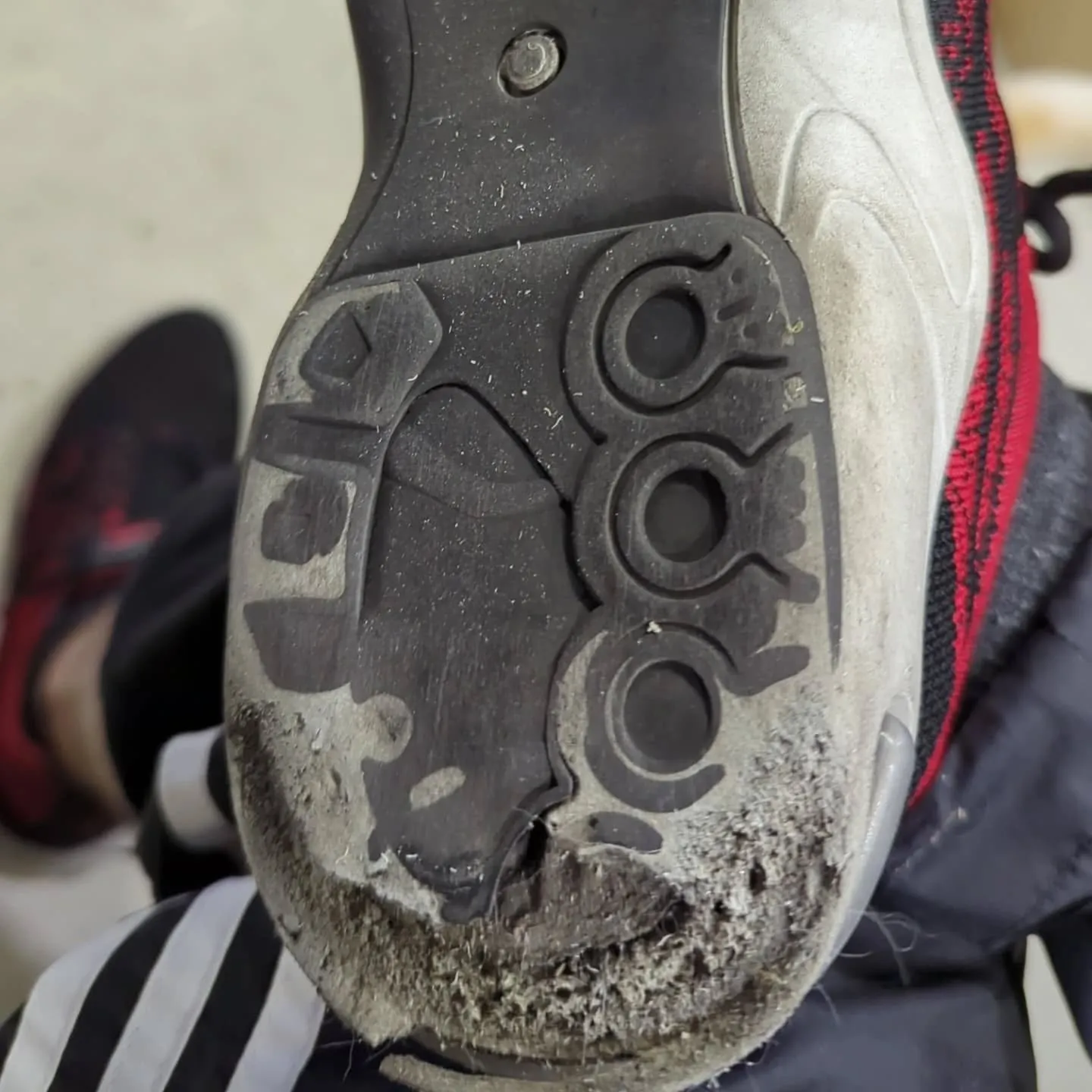 今日は一日中雨。