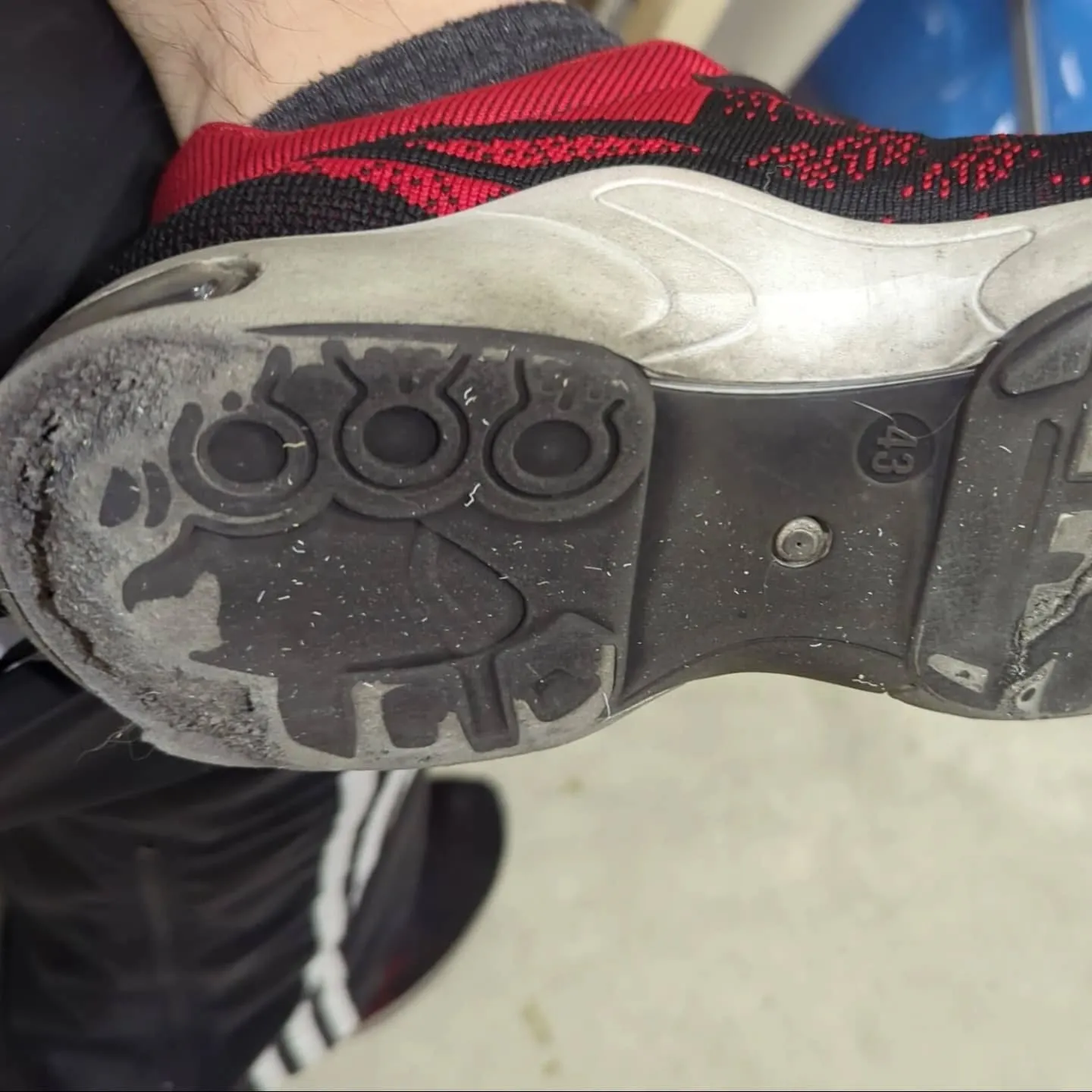 今日は一日中雨。