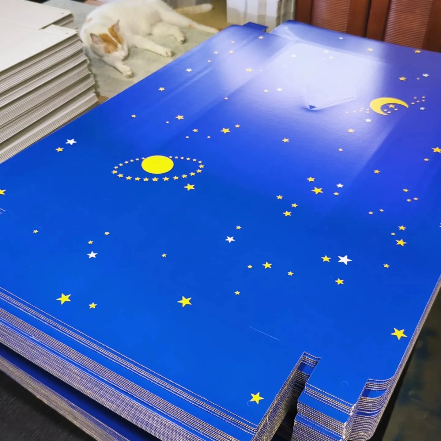 名古屋で35℃超えの猛暑日。