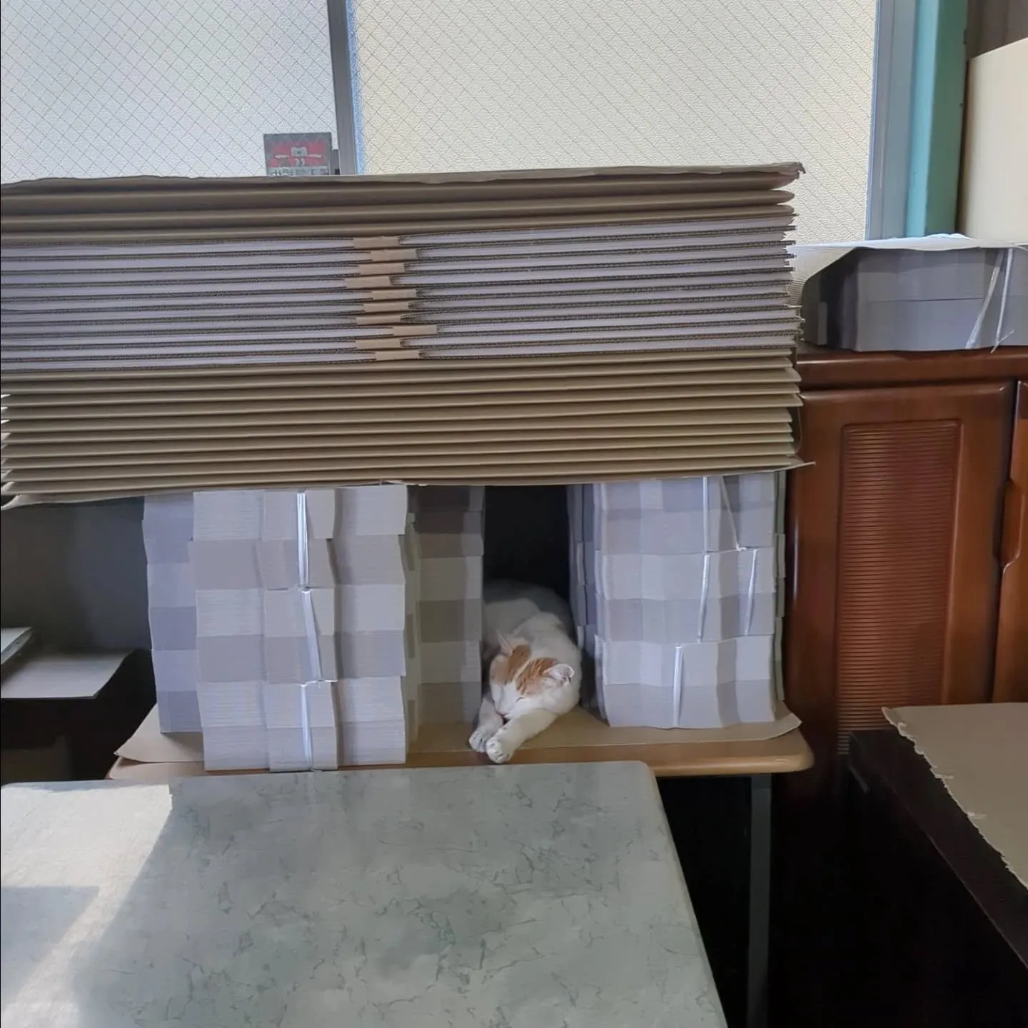 名古屋で35℃超えの猛暑日。