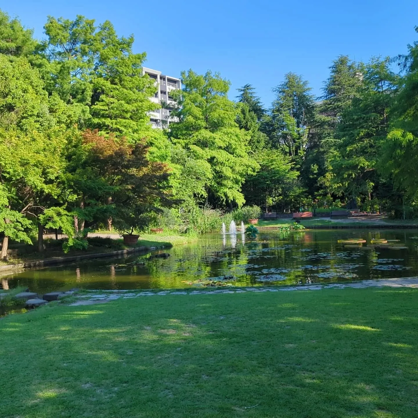 先日、地元のテレビ撮影に参加。