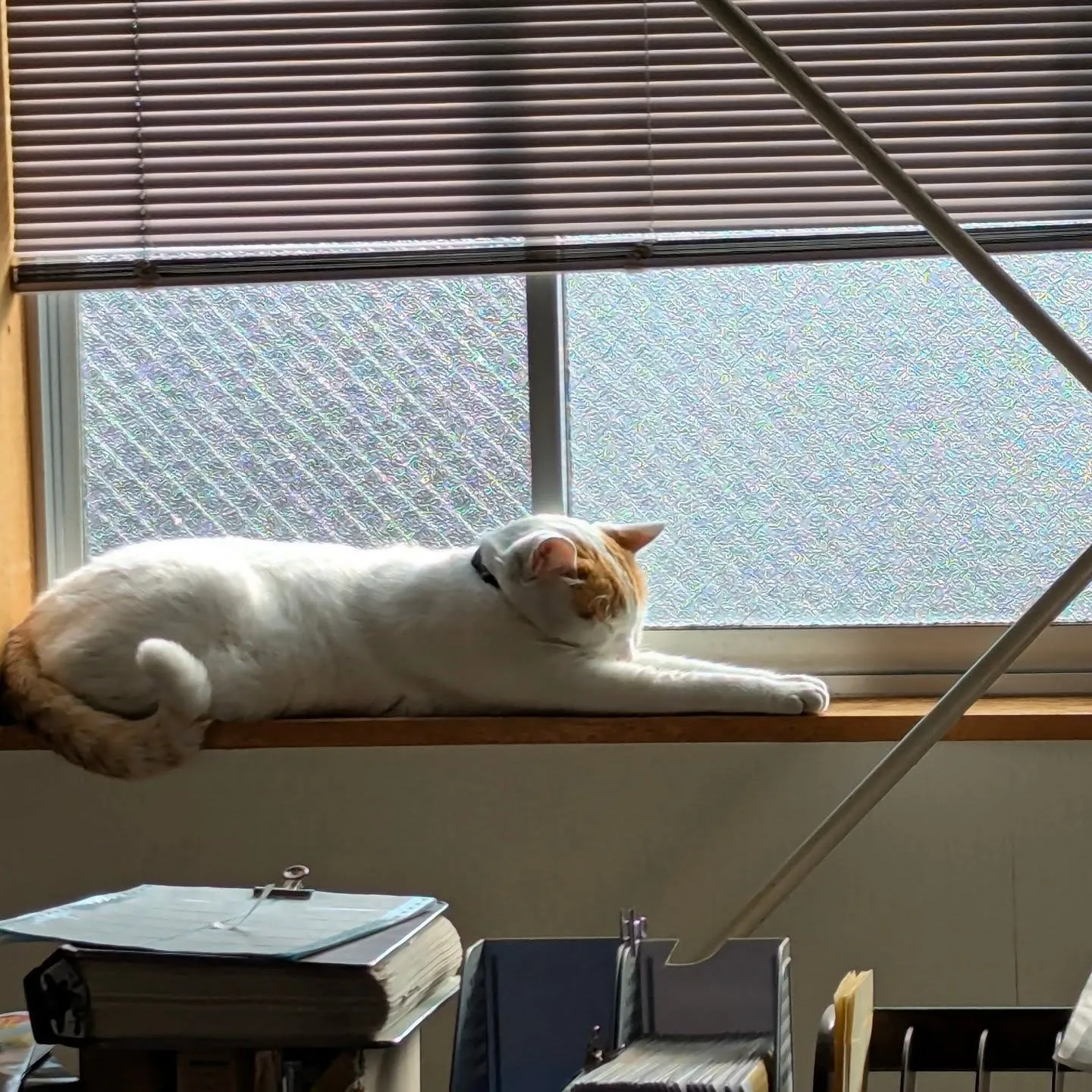 曇ったり晴れたり曇ったり。